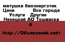 матушка-биоэнергэтик › Цена ­ 1 500 - Все города Услуги » Другие   . Ненецкий АО,Тошвиска д.